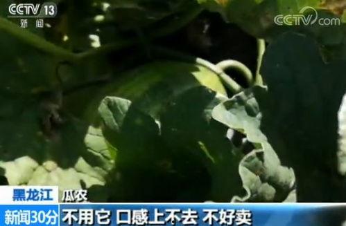 速递吃瓜,揭秘快递行业那些不为人知的幕后故事