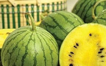 看瓜和吃瓜有什么区别呢,揭秘两者之间的微妙差异