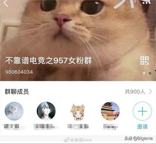 讽刺吃瓜视频,揭秘讽刺吃瓜视频背后的真相