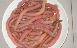 吃瓜吃海肠,揭秘吃瓜背后的海洋美味传奇