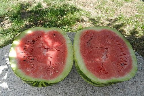 梦见卖瓜的给我瓜吃,卖瓜者赠瓜的神秘寓意解析