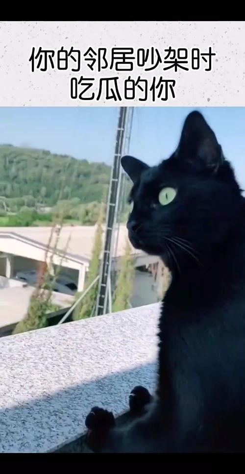 吵架时候吃瓜,一场吵架背后的真相揭秘