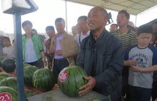 内黄吃瓜群,揭秘乡村生活趣味与智慧