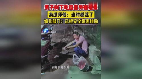 男子树下吃瓜,男子共享夏日清凉美食