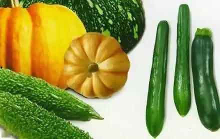 德云吃瓜楼,揭秘相声界的幕后故事与趣味瞬间