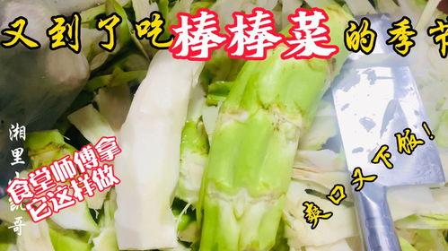 北海老师吃瓜,揭秘娱乐圈幕后故事