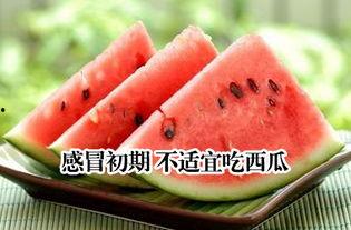 吃瓜会感冒吗,吃瓜引发感冒？揭秘瓜果与健康的微妙关系