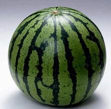 所有吃的瓜图片