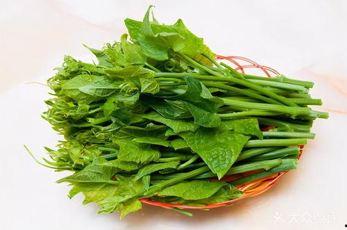 白色瓜尖怎么吃,探索白色瓜尖的多样美味