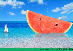 吃瓜拉肚子故事,一场意外的“消化”之旅