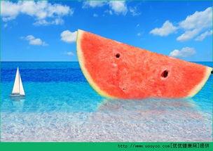 吃瓜拉肚子故事,一场意外的“消化”之旅