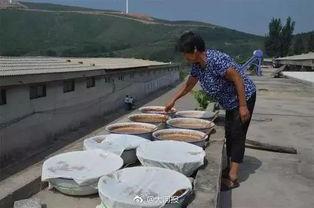 大妈吃瓜场面,热闹非凡，笑料百出