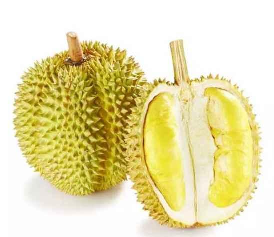 坐月子吃小蜜瓜,小蜜瓜助力产后恢复，营养美味两不误