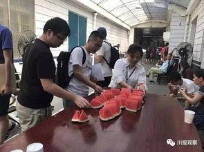 上党区吃瓜群众,吃瓜群众的欢乐盛宴