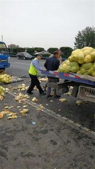 交警大队吃瓜群众