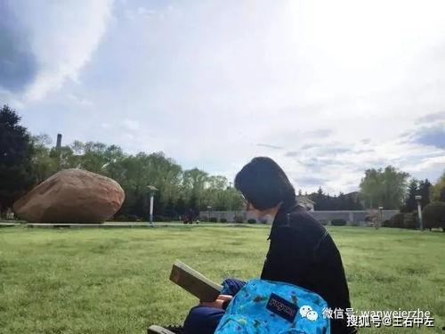 吃瓜群众岱宗夫,揭秘吃瓜群众的趣味生活