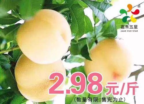 白桃吃瓜免费阅读