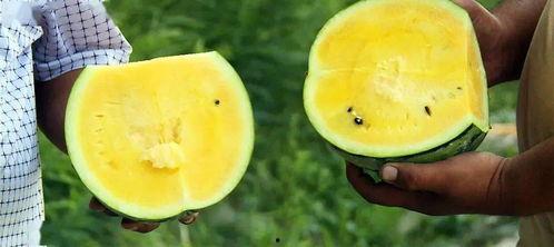 初甜吃瓜,揭秘娱乐圈甜蜜背后的秘密